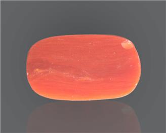Natural Coral  11.26RTS-24883